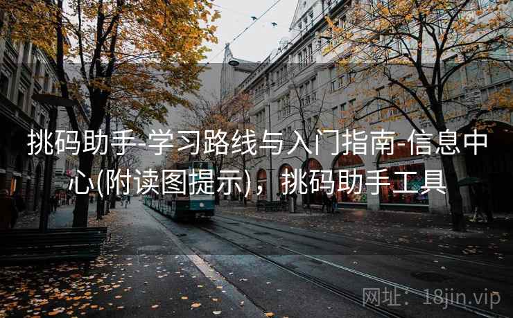 挑码助手-学习路线与入门指南-信息中心(附读图提示)，挑码助手工具